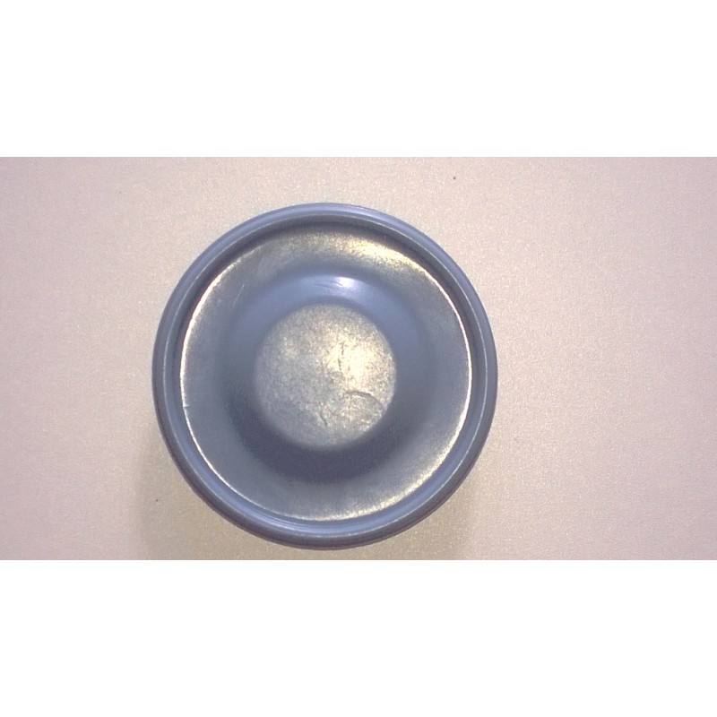 Membrane Prominent 70x37mm