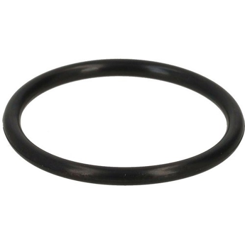 O-ring til top (grovfilter) Badu Magna