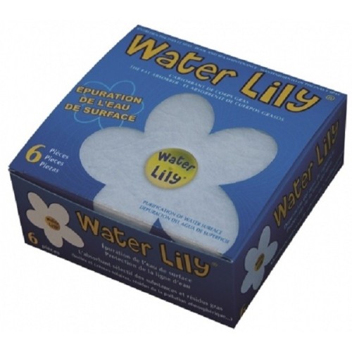 Water Lily
