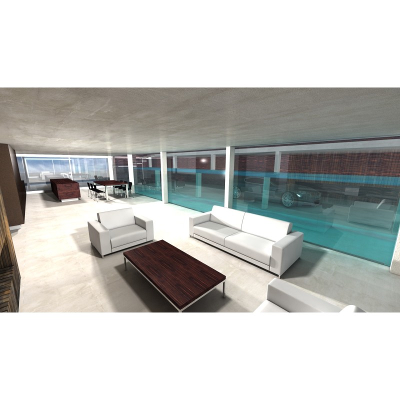 Pool with acrylic sides