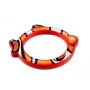 Diving ring, Nemo