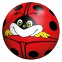 Ball, ladybug