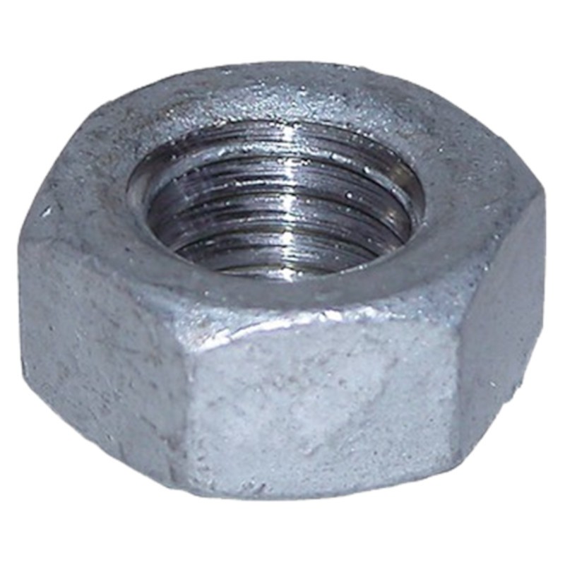 Nut 20mm