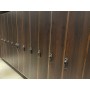 Electronic cabinet lock