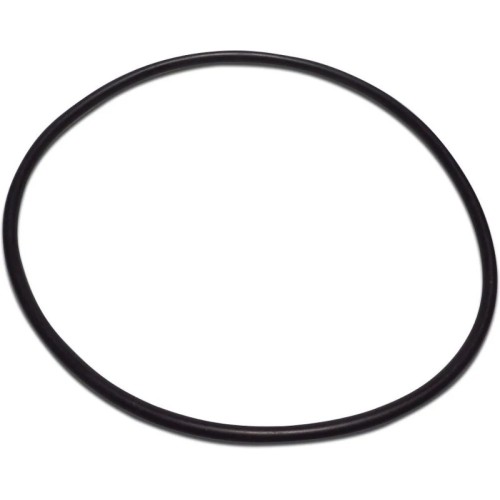 Pentair Triton - O-ring till topplock
