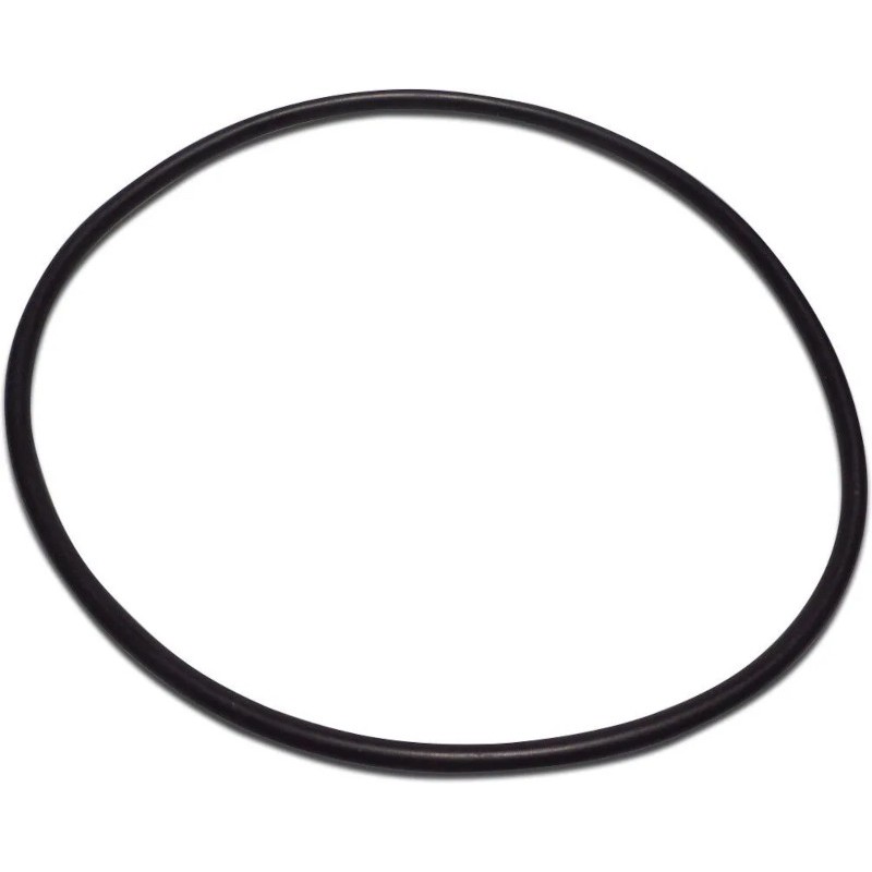 Pentair Triton - O-ring for Top Lid