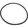 Pentair Triton - O-ring for Top Lid