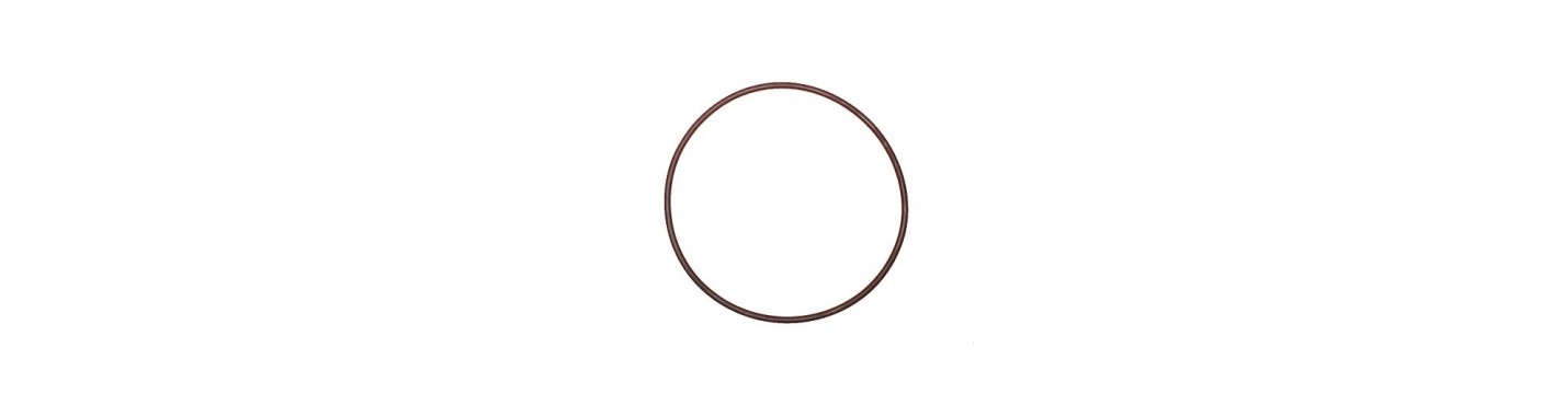 O-ring / Pakning