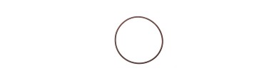 O-ring / Gasket